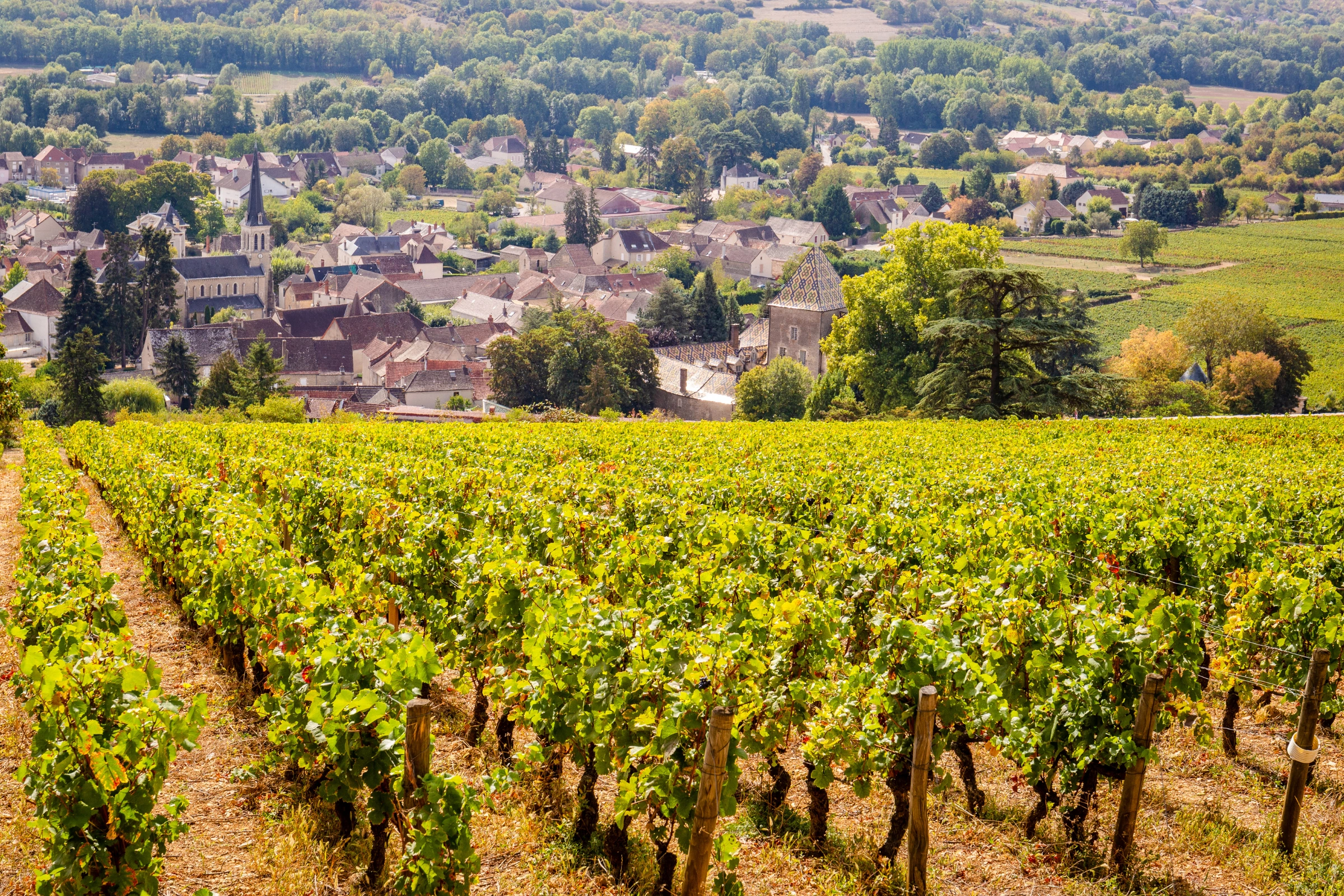 Santenay,_Cote_d'Or[1].webp